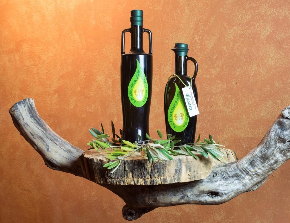 Agriturismo Podere Villa Alessi Cinto Euganeo Luaran gambar